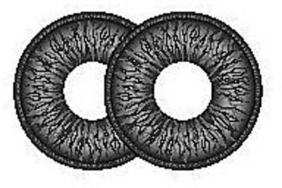 image (7).jpg