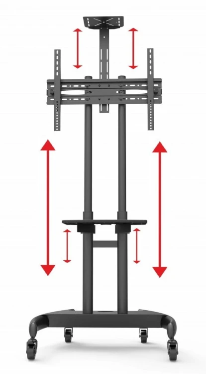 CART-3T(3).jpg