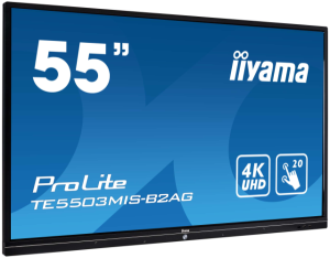 IIYAMA ILIV24-1