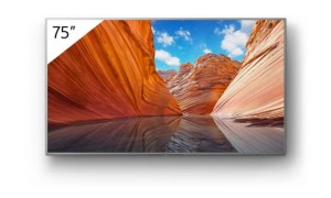 Sony FWD-75X81J