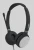23254.webp