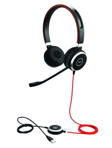Jabra EVOLVE 40 Duo (2).jpg