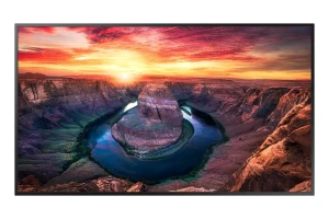 Samsung SMART Signage 43" QM43B-T