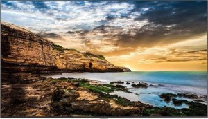 Samsung SMART Signage 55" QE55T