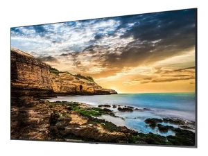 Samsung SMART Signage 65" QE65T