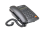 obraz_2025-03-20_100212677.png