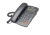 obraz_2025-03-20_100221225.png