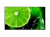 obraz_2025-04-09_113741276.png