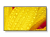 obraz_2025-04-09_141217195.png