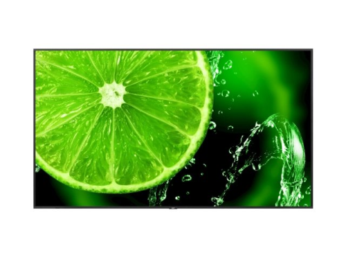 obraz_2025-04-10_150934099.png