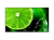 obraz_2025-04-10_150934099.png