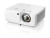 obraz_2025-05-20_140547207.png