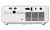 obraz_2025-05-27_094010822.png