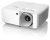 obraz_2025-05-27_095500313.png