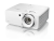 obraz_2025-05-27_095933580.png