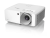 obraz_2025-05-27_103434366.png