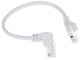 rj45_0.25-pk_w.jpg