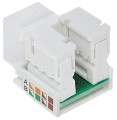 fx-rj45-53_img1.jpg