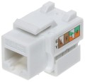 fx-rj45-54.jpg