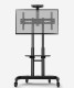 CART-3T.jpg