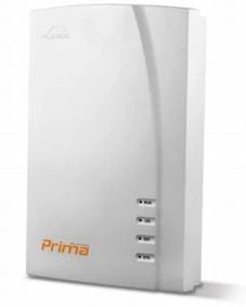 Platan-Prima-1.jpg