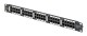 panel1.jpg