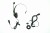 Headset YHS32(2).JPG
